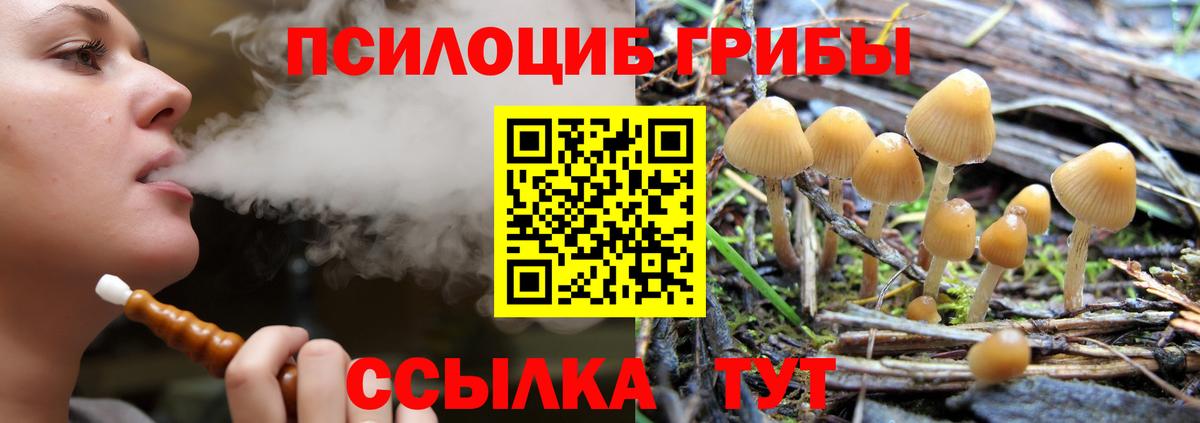 Псилоцибиновые грибы MAGIC MUSHROOMS  Вход с VPN  Псков 