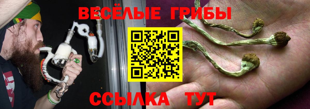 Псилоцибиновые грибы MAGIC MUSHROOMS Псков
